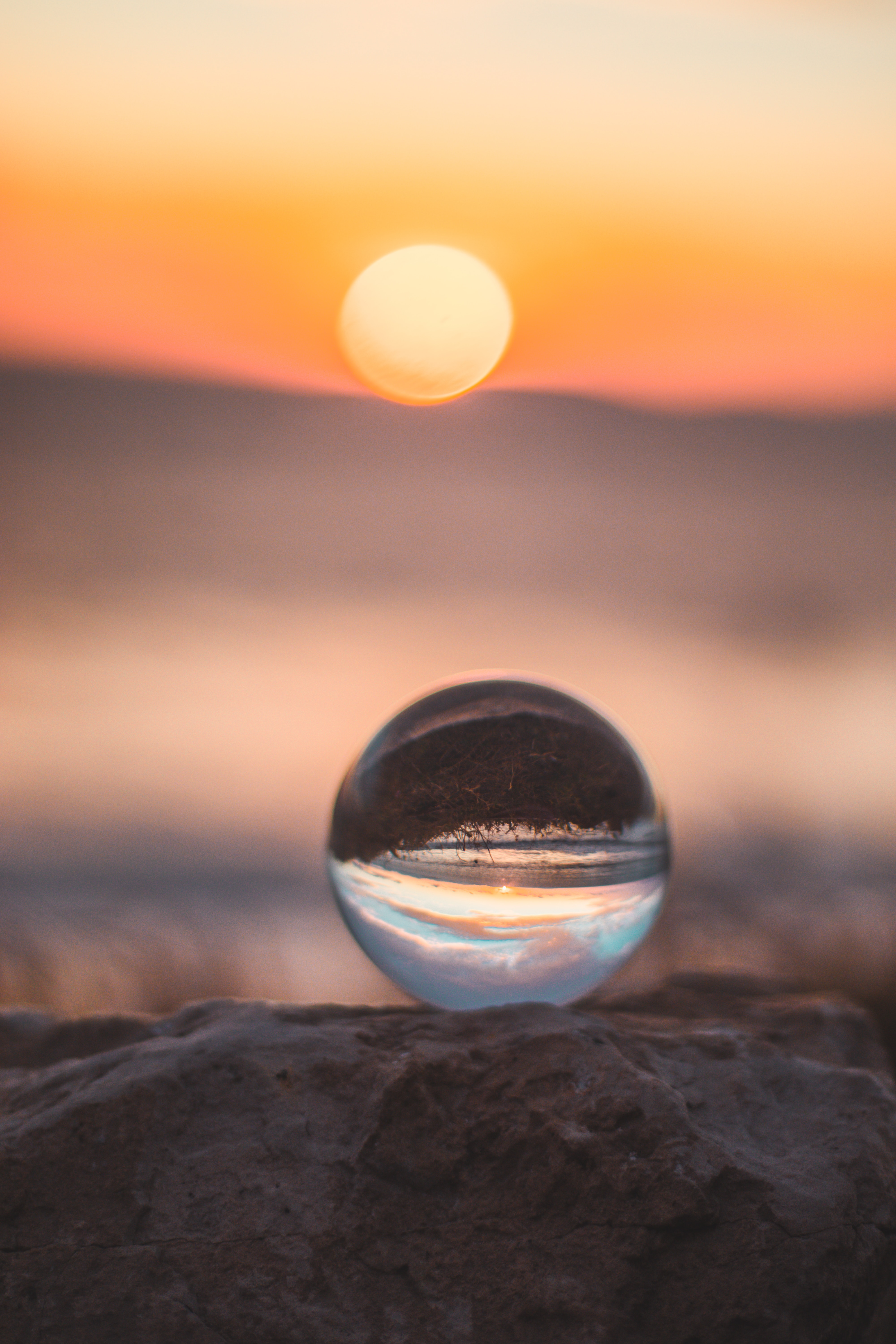 jose-leon-QDZHxRzoi6w-unsplash (1)